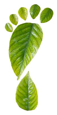 Footprint shape created using various green leaves arranged in a natural pattern.